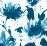 ITALIAN COTTON POPLIN DRESS CHARLIE - DRESSES - SCAPA FASHION - SCAPA OFFICIAL