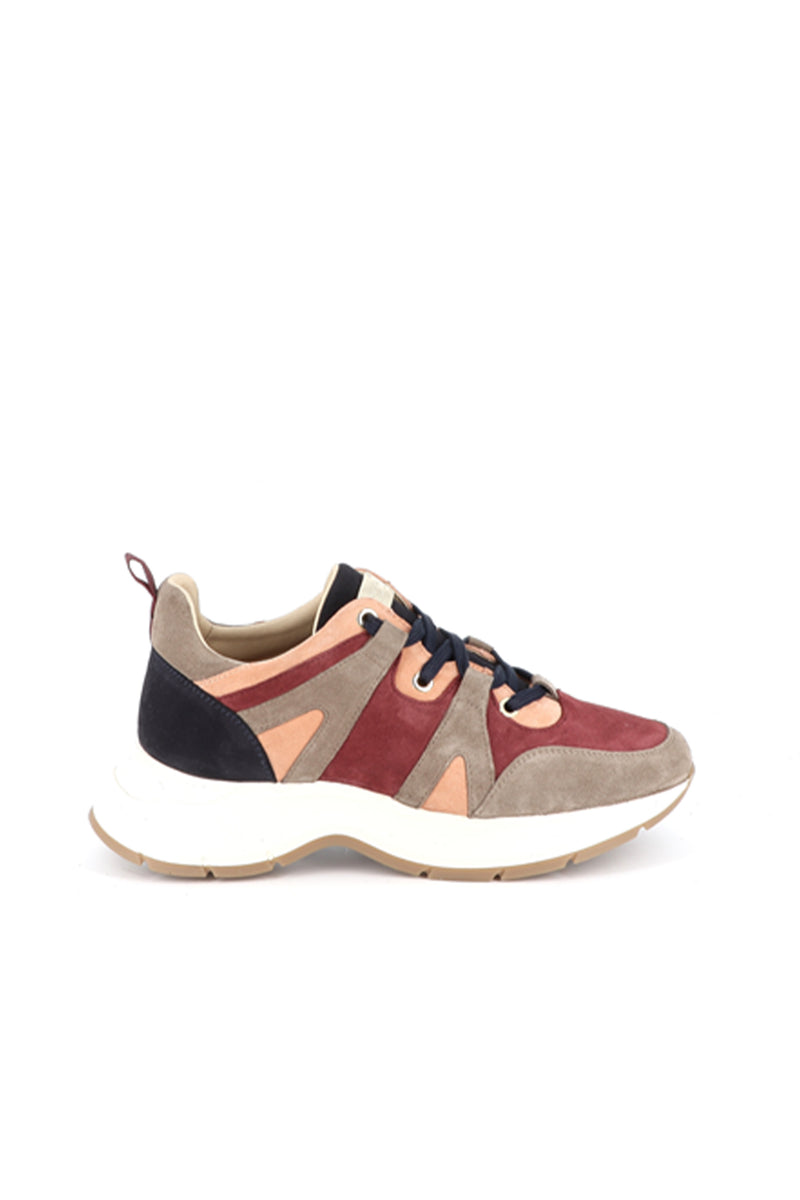 MULTI COLOUR SUEDE SNEAKER VINCE -  - SCAPA FASHION - SCAPA OFFICIAL