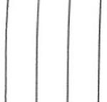 STRIPED COTTON SHIRT KRYA - WHITE - SHIRTS - SCAPA FASHION - SCAPA OFFICIAL