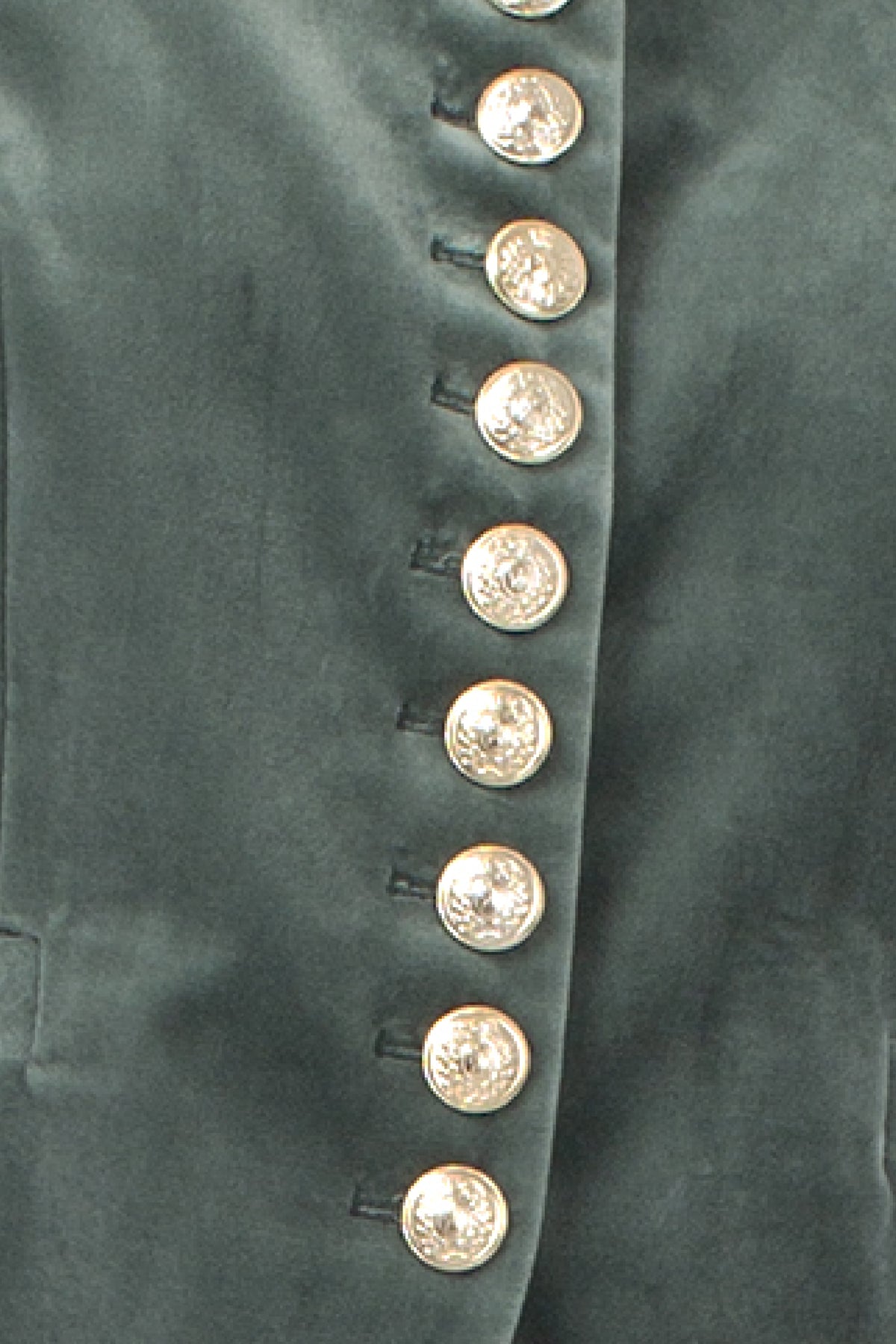 COTTON VELVET SINGLE-BREASTED JACKET HYLTON - JACKETS - SCAPA FASHION - SCAPA OFFICIAL